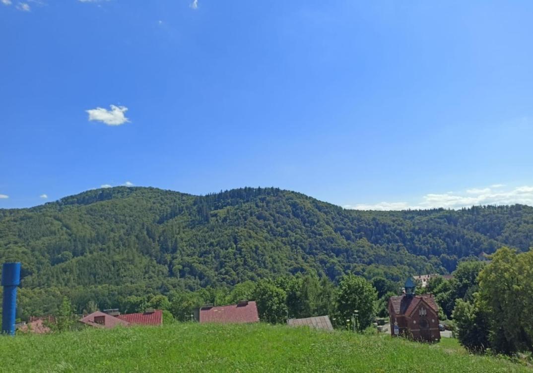 Gory Bardzkie Апартаменти
